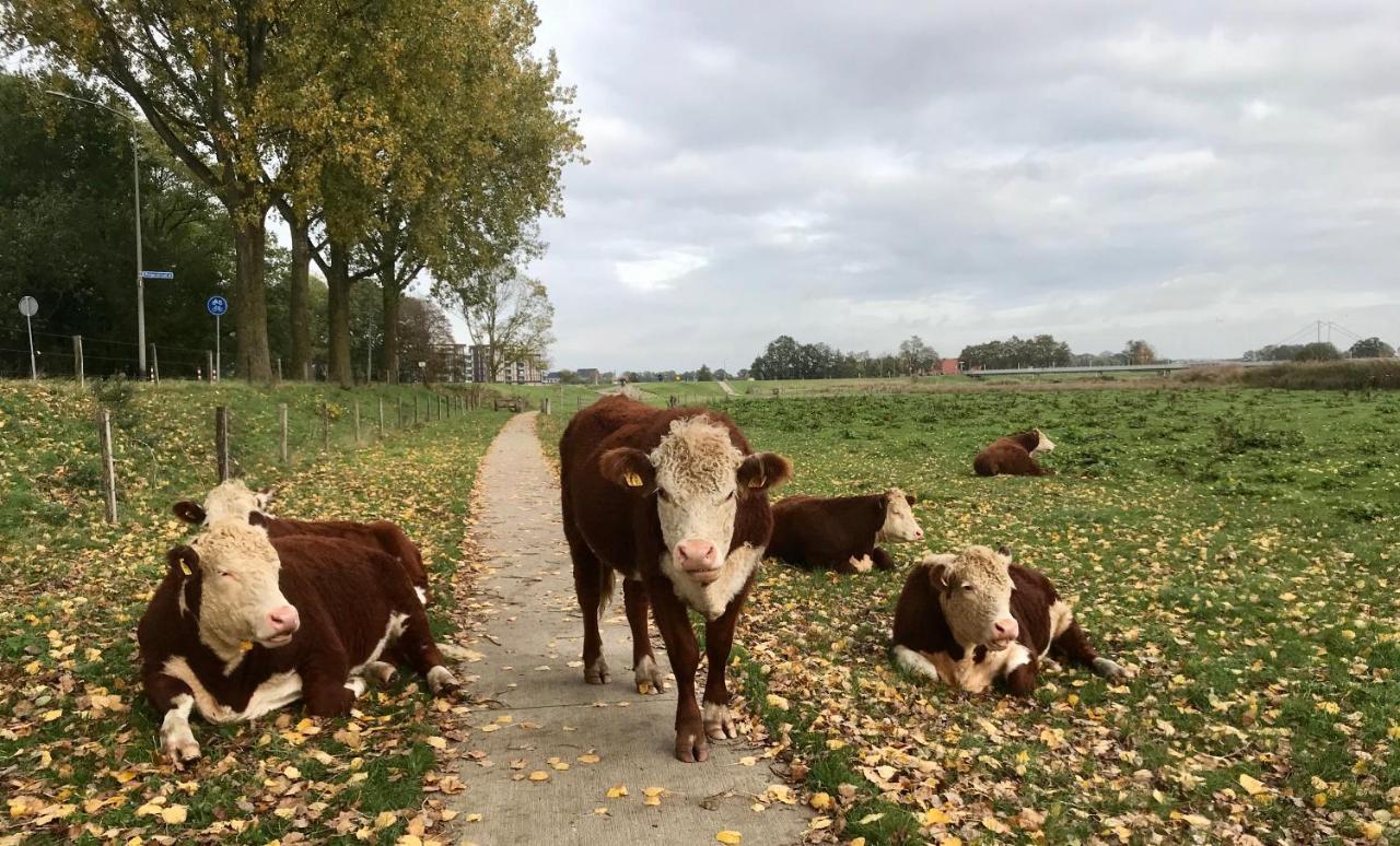 B&B Tussen Vecht En Veer Hardenberg Kültér fotó